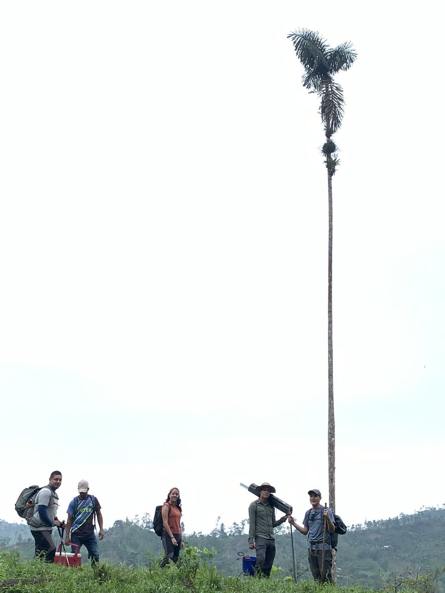 InstitutoBiosf1's tweet photo. Sampling the Cube 💦🌴 #DryingRiverNetwork and enjoying the #Chocó tropical forest in #MacheChindul @jkphenomenon @aencalada1 @DRYvER_H2020 @DanidoEsCa @Daniela79Rosero @JocDaza @carlitavu https://t.co/r0XVGucRSG