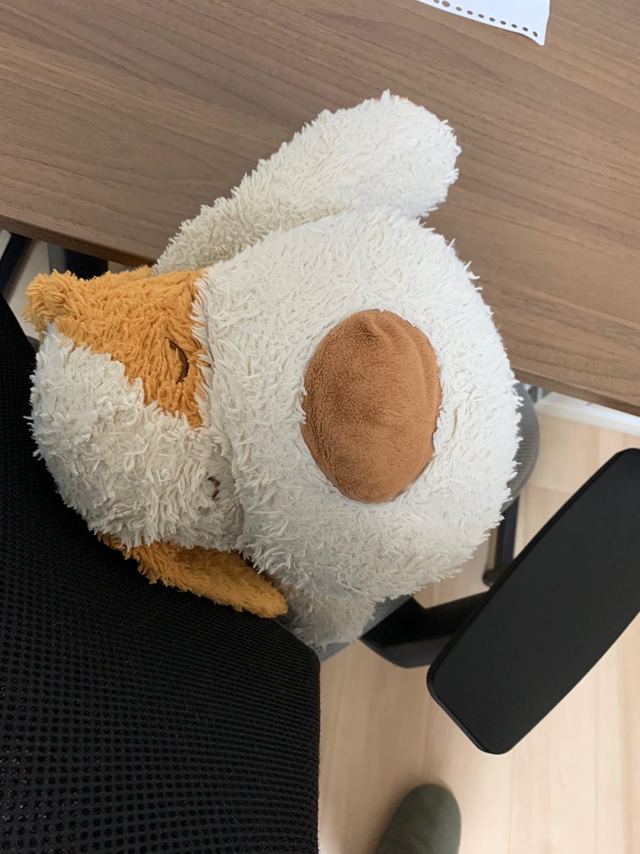 ニトリの抱き枕 Twitter Search ニトリの抱き枕 Twitter Search