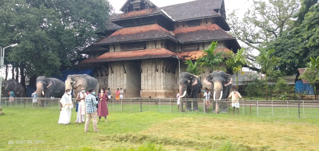 Gannuuprem's tweet photo. A grand feast organised for elephants in Ashada maas in Thrissur Vadakkunathan Temple. https://t.co/JDaRVXVXsw