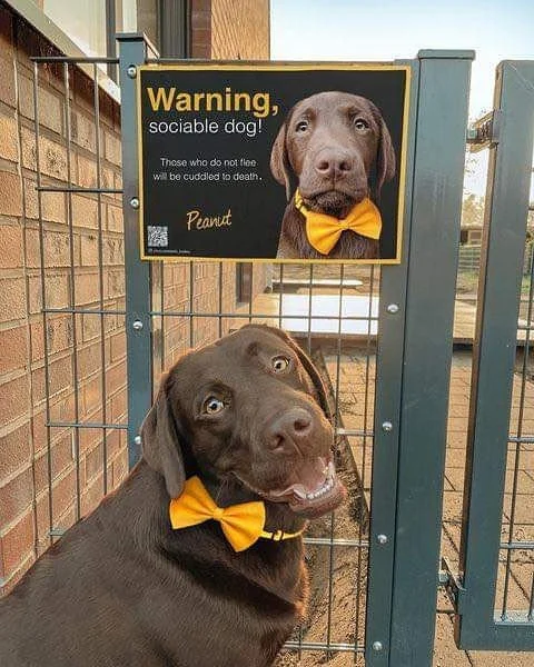 Warning: Hugs and kisses 😜