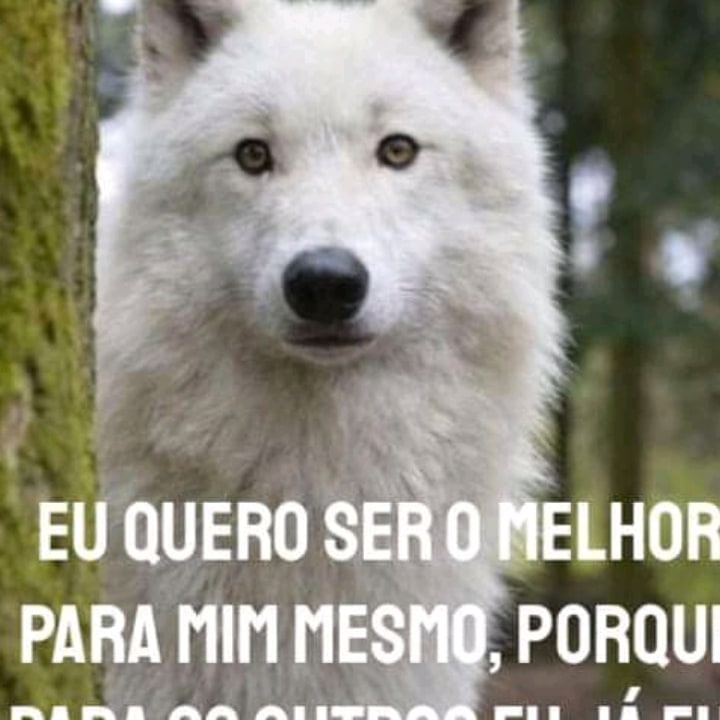 Edilberto Da Silva (@edilbertodasi15) on Twitter photo 
