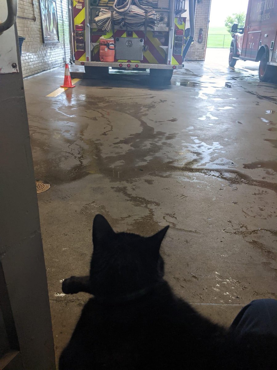 dfdlegacy's tweet image. This is Chuck. After 5 years of service at Engine 32 it is his last day at the firehouses. Chuck is retiring!!!!
He will now be spending his time being pampered in the loving home of one of our firefighters. 
I wish Chuck a very long, very happy retirement.