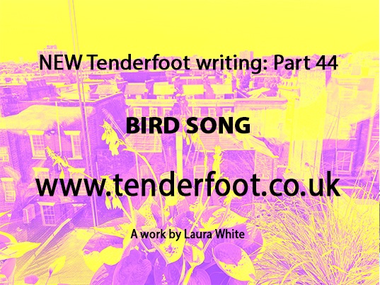 NEW Tenderfoot Writing: Part 44, ‘BIRD SONG’
tenderfoot.co.uk/my-writing/
#birdsong #trees #sound #touch #smell #walking #woodland #seagulls #writing #art #artwriting