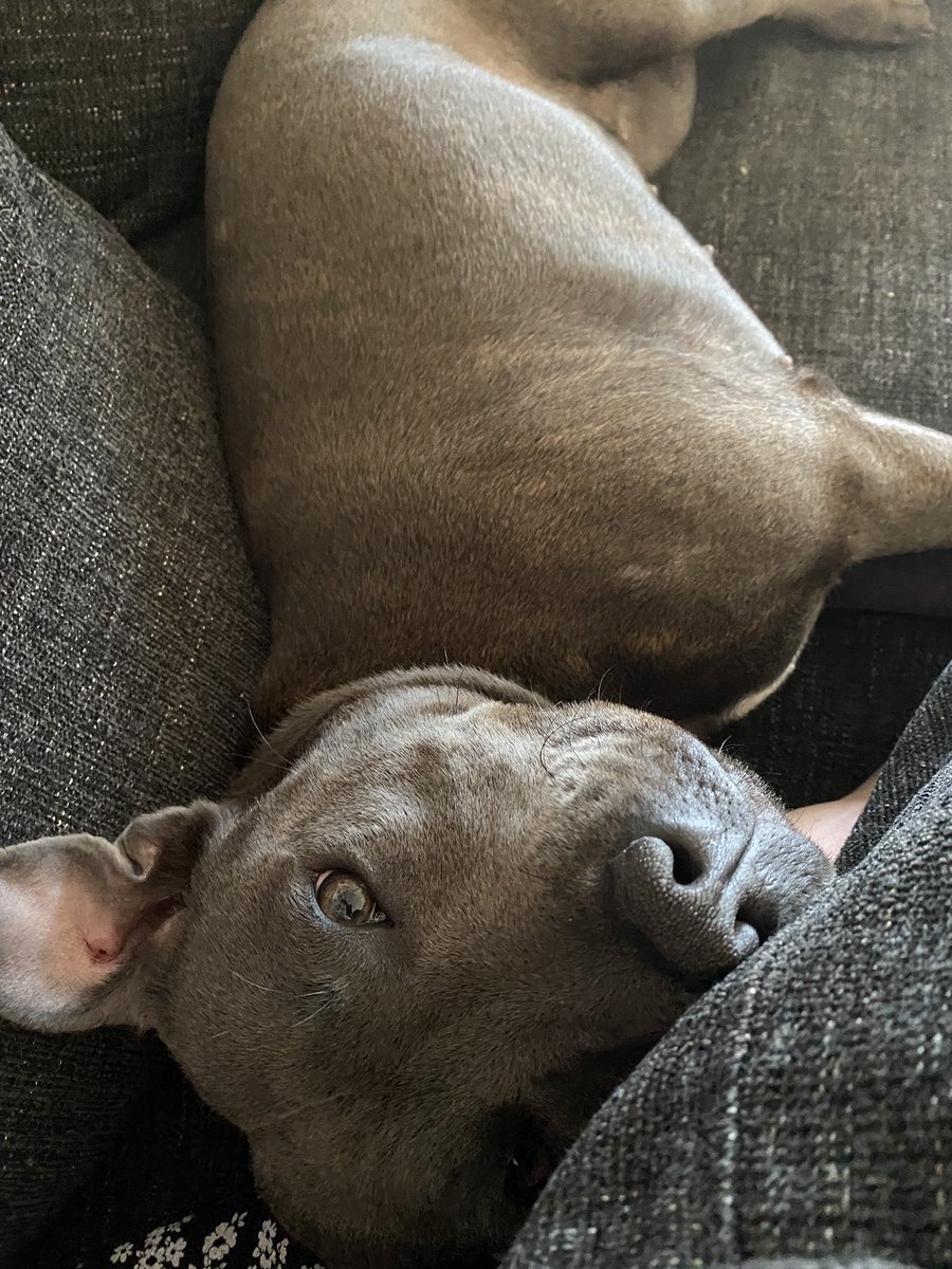 lgoodbu's tweet image. #GorgeousGertieG after the #BigStepForward