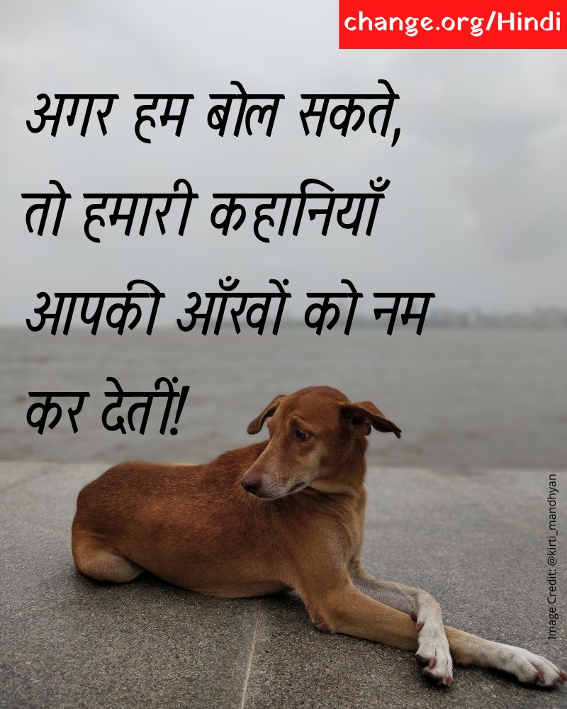 Kiara Advani on Twitter: Kiara Advani on Twitter: