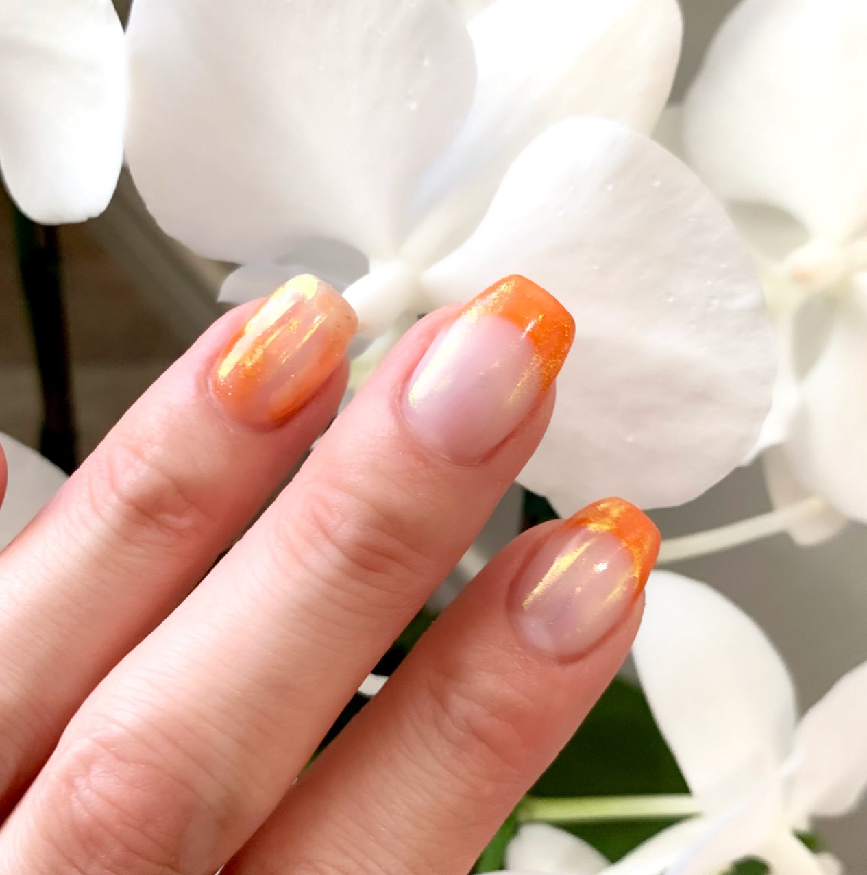 Shushu Nail 梅雨も明けたので 新色のオレンジ 品川ネイルサロン フレンチネイル オレンジ ネイルデザイン オーロラパウダーネイル パラジェルネイル プライペートサロン 新馬場ネイルサロン 剥がれないネイル うるつやネイル タイトスクエア