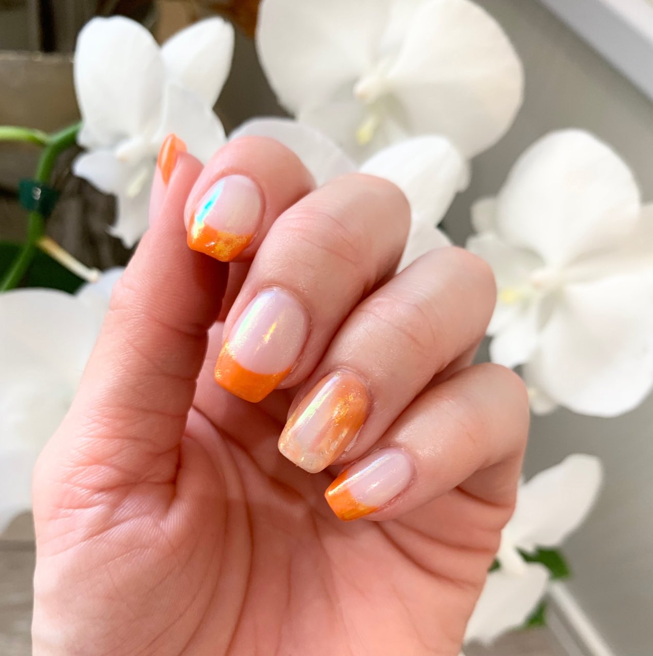 Twitter 上的 Shushu Nail 梅雨も明けたので 新色のオレンジ 品川ネイルサロン フレンチネイル オレンジネイルデザイン オーロラパウダーネイル パラジェルネイル プライペートサロン 新馬場ネイルサロン 剥がれないネイル うるつやネイル タイト