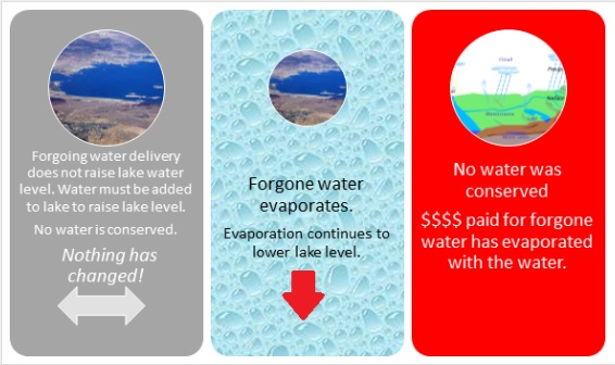 HacheHacheiii's tweet image. Forgoing water delivery does NOT increase or raise lake levels or elevations. ALL #DCP, #AZDCP 'stored' (imaginary) #water has evaporated before beneficial use! #LakeMead #LakePowell #azleg