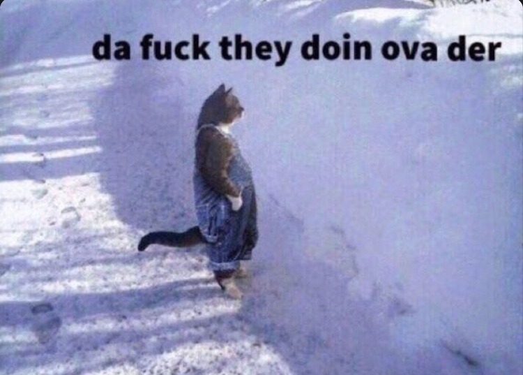 SimoBestia's tweet image. The Bully community with its 1 or 2 yearly mod releases watching all GTA mods getting DMCA'd.