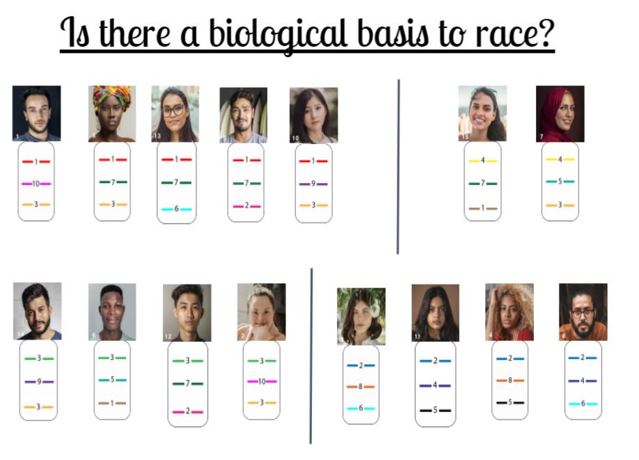 brewerbiology's tweet photo. Finished week 1 of the SEP workshop @fredhutch. Bio teachers checkout the "Race, Racism &amp; Genetics" curriculum. Learning how to address these topics from a historical context in a bio class + reinforce that ancestry leads to observable traits (not race). https://t.co/1WDHK8C9SW https://t.co/uHSoFiorvS