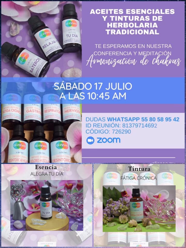 alinnea.mx tweet media