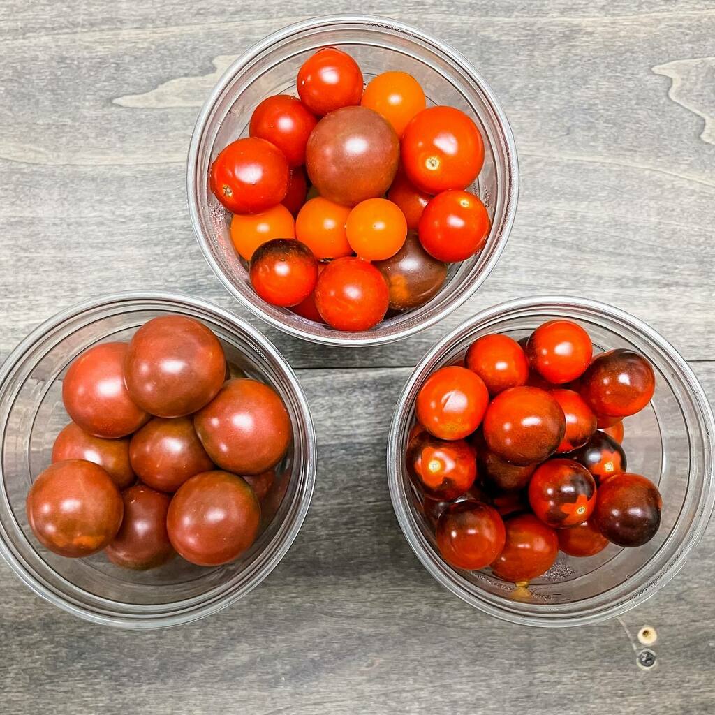 harbinhollow's tweet photo. Black Cherry, Blueberry, and Sungolds, oh my! Natureworks TN hooked us up with cherry tomatoes and they're going fast! #harbinhollow
#lovallove #farmstore #shoplocal #agribusiness #local #localfood #agvocate #eatlocal #farmtotable #buylocal #supportlo… https://t.co/GN8DYNLyiA https://t.co/FLGsYumnNc