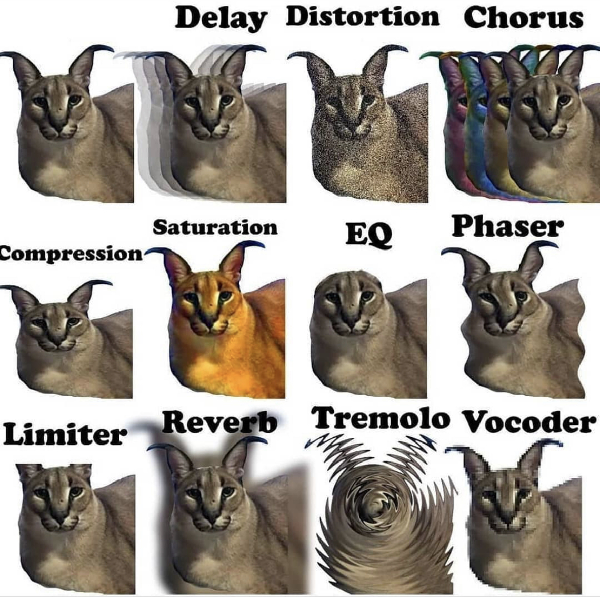 Why is this so accurate? 
.
.
.
.
 #production #musicengineer #mixingtips #music #musicmaker #musicproducerlife #producerlifestyle #beatmakers #soundengineering #protools #ableton #producer #producergrind #makingbeats #bassgorilla #course #bassgorillaofficial