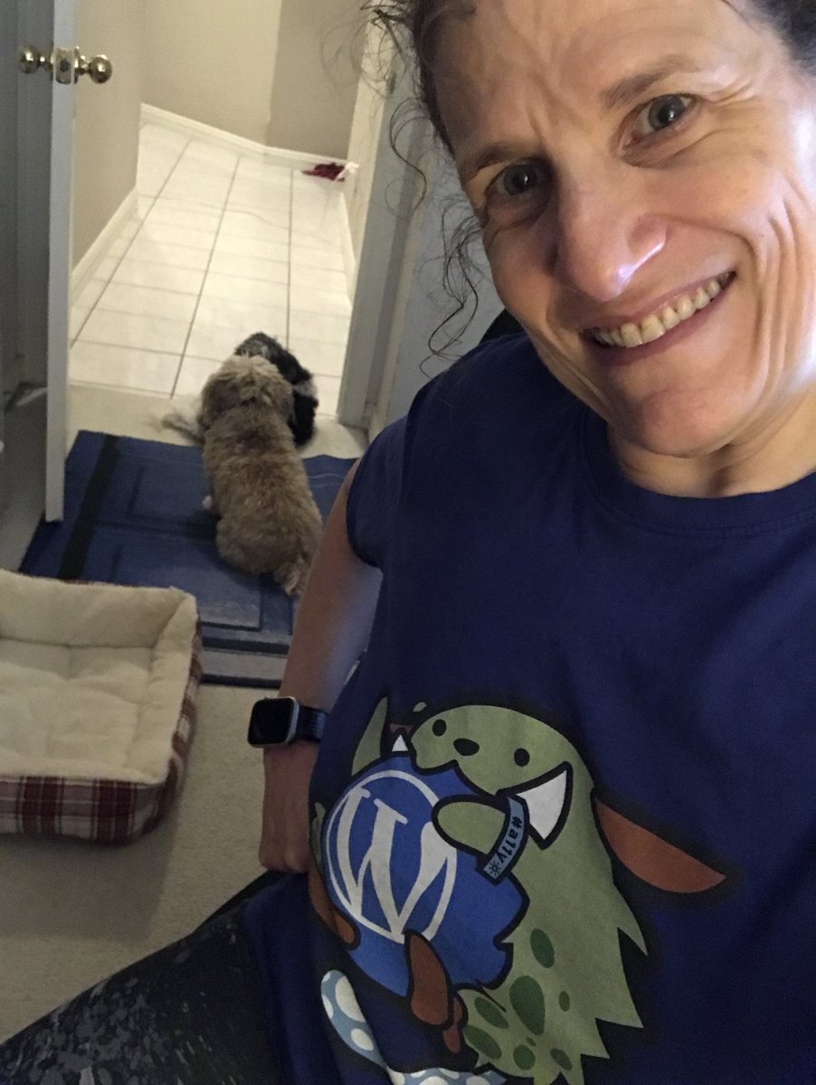 merylkevans's tweet image. Excited to spend my weekend at the amusement park known as @WordCampSCV #WCSCV and wearing my fave Wapuu shirt with Accessipuu! #Accessibility #A11y