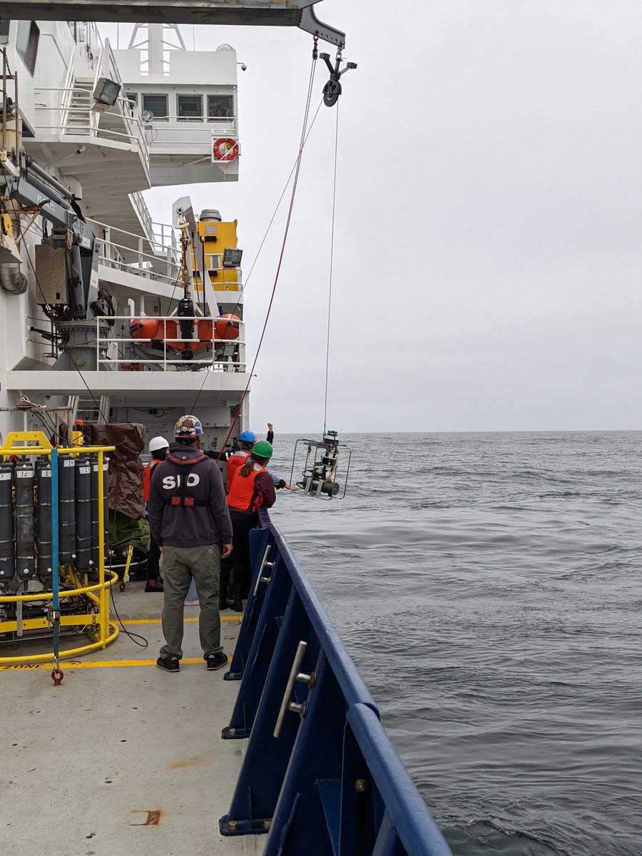 Trace metal rosette and McLane pumps going in the water this morning <a href="/cce_lter/">CCE_LTER</a> #P2107