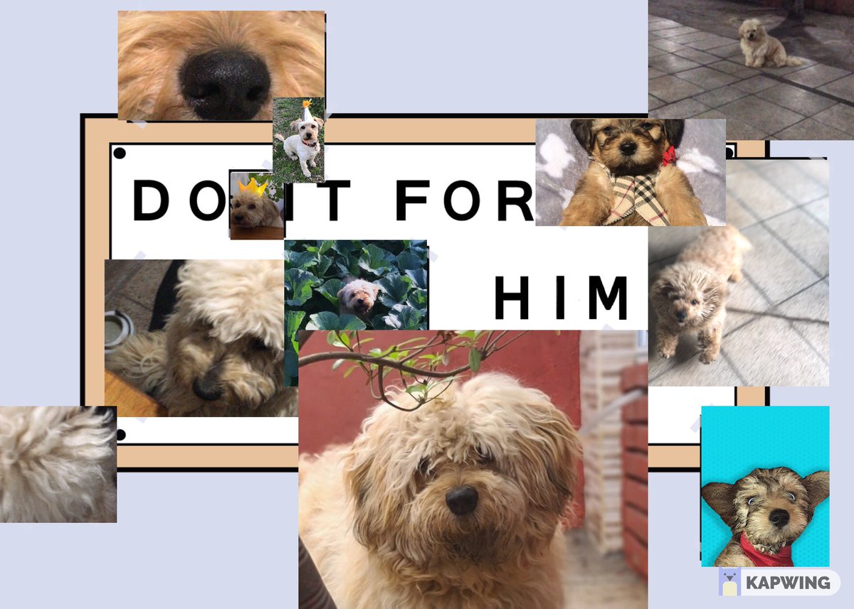 Nowie 11-11-23 🇦🇷 tweet media