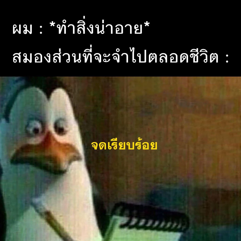 ช่างแม่ง🐰🏳️‍🌈 tweet media