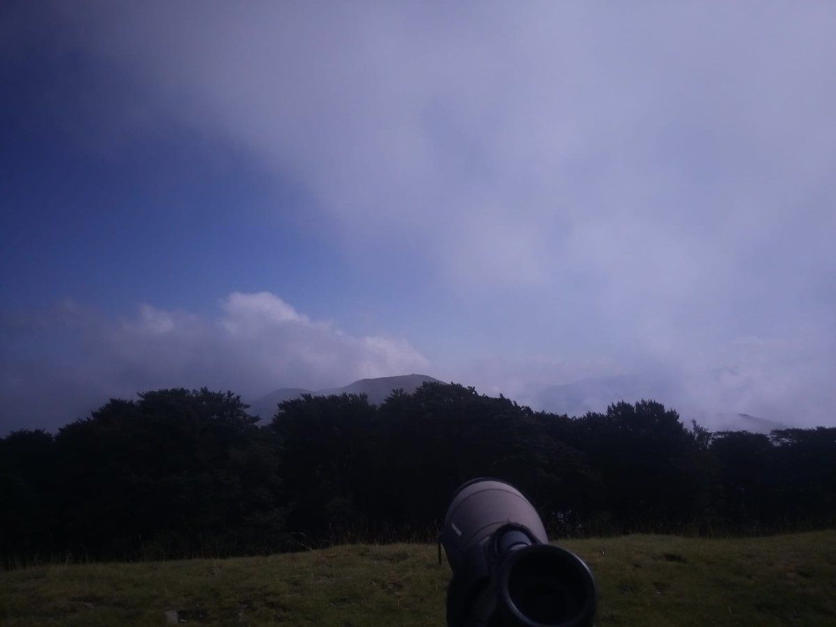 El pasado día 15 comenzamos la XII campaña de estudio de la migración postnupcial de aves desde Lindus, Auritz-Burguete, Navarra. +Info trektellen.nl y <a href="/proyectolindus/">Migracion Atlantica</a> Pocavisibilidad estosdias@auritz_burguete <a href="/LPOAk/">LPO Aquitaine</a> @GanNavarra <a href="/SEO_BirdLife/">SEO/BirdLife</a> <a href="/IratiBizia/">Irati Lau Ibarrak</a> <a href="/AEMET_Navarra/">AEMET_Navarra</a>