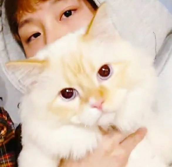 GBusarat's tweet photo. "happy 진성호 day " 🎊🎊🎁
I miss you so much and I'm so proud of you!
We will support you always.😻😻💛
#BC #비씨 #진성호 #BryanChin #BCis27 #BCday https://t.co/8Qy2qgzNbv