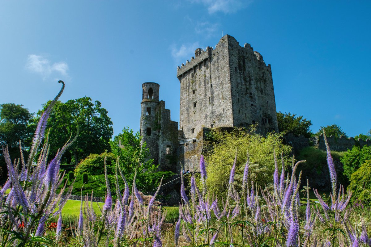 The weather today was a scorcher!!☀️☀️☀️ Fantastic day to explore the Castle & Gardens!
#blarneycastleandgardens #purecorkwelcomes #purecork #makeabreakforit #cork #ireland #blarney #castles #walks #like #follow #pictureoftheday #picoftheday #photography https://t.co/t8HwfnNCNy