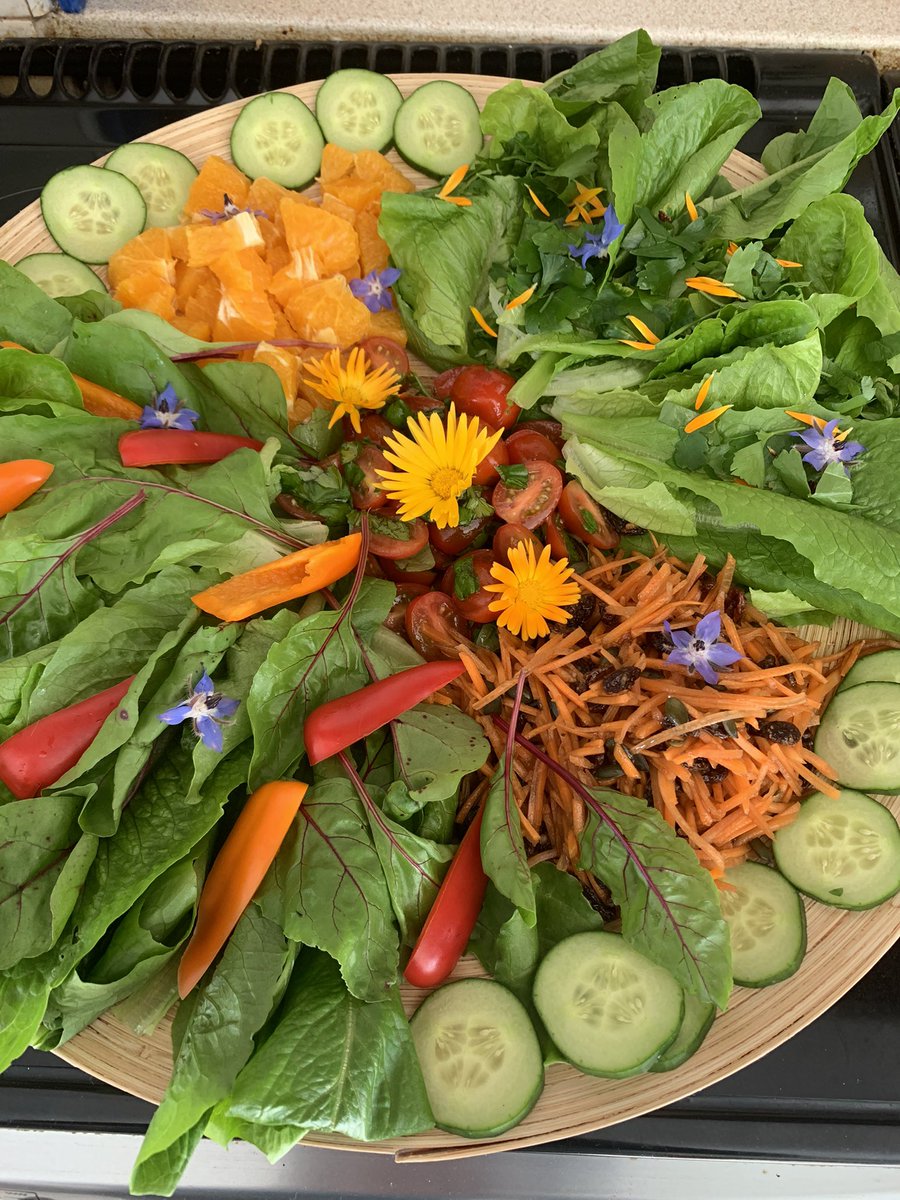 Salad from the garden ( well almost all of it !) #Homegrown <a href="/Baldernock/">Baldernock</a> #vegetables <a href="/GWandShows/">BBC Gardeners World</a>