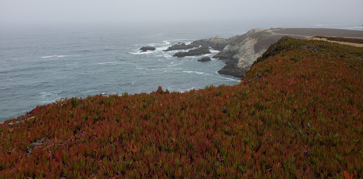 #hiking views today #BodegaBay #NaturePhotography #California