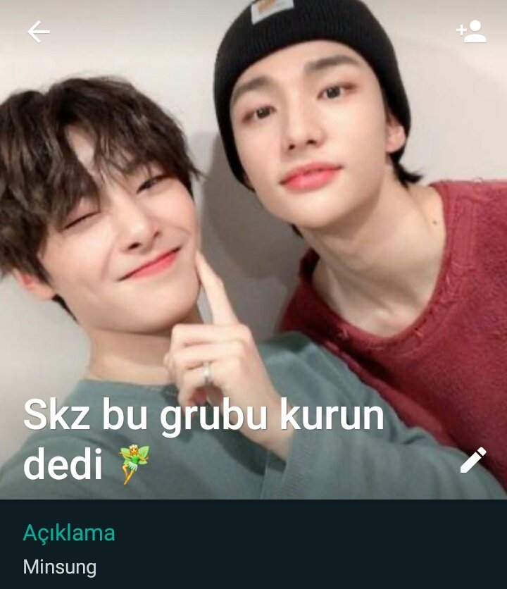 "Skz bu grubu kurun dedi" a thread;