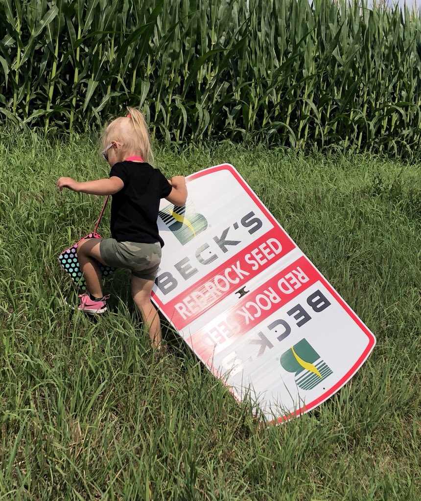 Redrockseed's tweet photo. Family project on this beautiful day, putting up field signs! @BecksHybrids @BecksAgMN @bill_freitag @MikePruett1 https://t.co/b3n1qOh4ZL