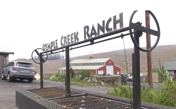 California Bountiful (@cabountiful) on Twitter photo The master plan at <a href="/StempleCreek/">Stemple Creek Ranch</a> is to be a good partner with Mother Nature. Come along with Tracy as she finds out from rancher Loren Poncia how he does that. Click here to watch: bit.ly/2Ui238S #cattle #cabountiful #farming #mothernature The master plan at <a href="/StempleCreek/">Stemple Creek Ranch</a> is to be a good partner with Mother Nature. Come along with Tracy as she finds out from rancher Loren Poncia how he does that. Click here to watch: bit.ly/2Ui238S #cattle #cabountiful #farming #mothernature