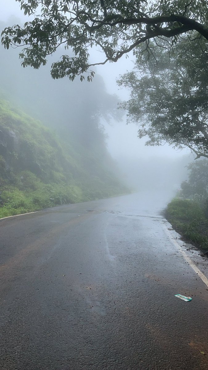 bhavesh_jajoo's tweet image. Lonavala is over rated, Mahabaleshwar is under rated ! #monsoons #tourism #weekendgateways
