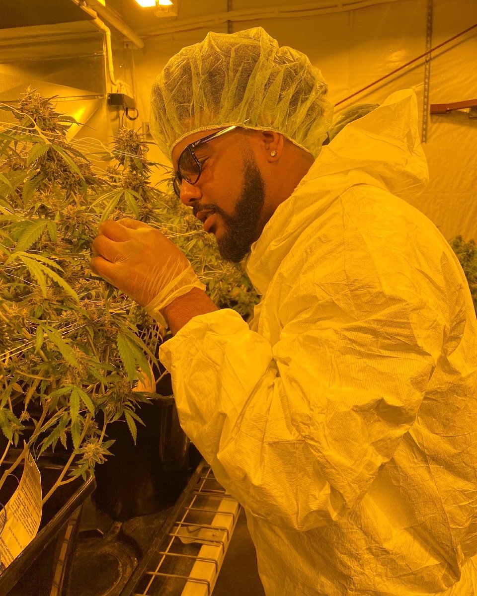 indacutdray's tweet photo. YOUNG CEO TRAPPIN OUT THE LEGAL WAY. 
#smokeindacut @indacut_ca https://t.co/1mI9zOGn40