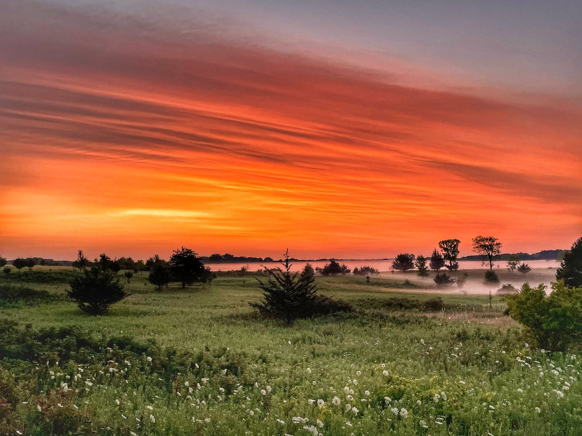 Mom74Run's tweet image. 24.32 miles done! 100k training &amp;amp; time for a nap. Beautiful sunrise. Happy weekend.🙌🏽 #nativerunner #timetofly #100ktraining #trailrunner #navajo #run #ultra