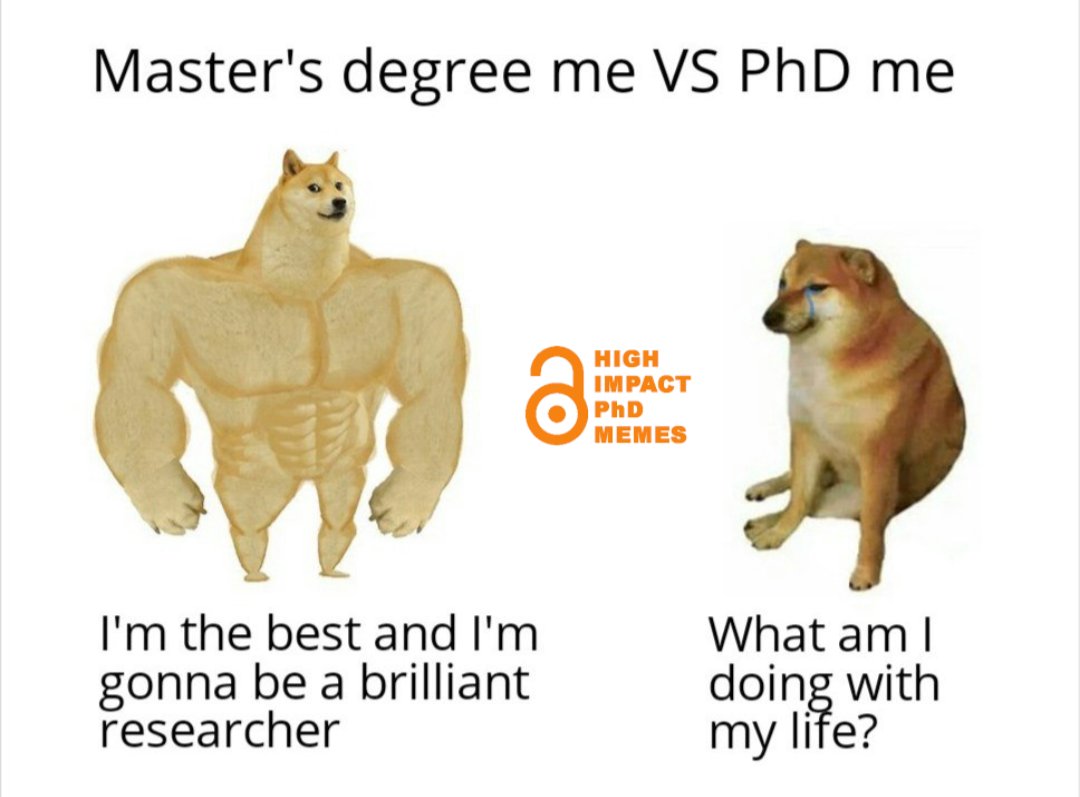 These memes are personally attacking me. 😂😂😂
#AcademicTwitter #AcademicChatter #memesdaily @AcademicMeming <a href="/AcademicChatter/">Academic Chatter™</a> <a href="/AcademicsSay/">Shit Academics Say</a> <a href="/PhDVoice/">PhD Voice - Independently Run</a> <a href="/PhdExhausted/">Not so Exhausted Anymore, Ph.D.</a>