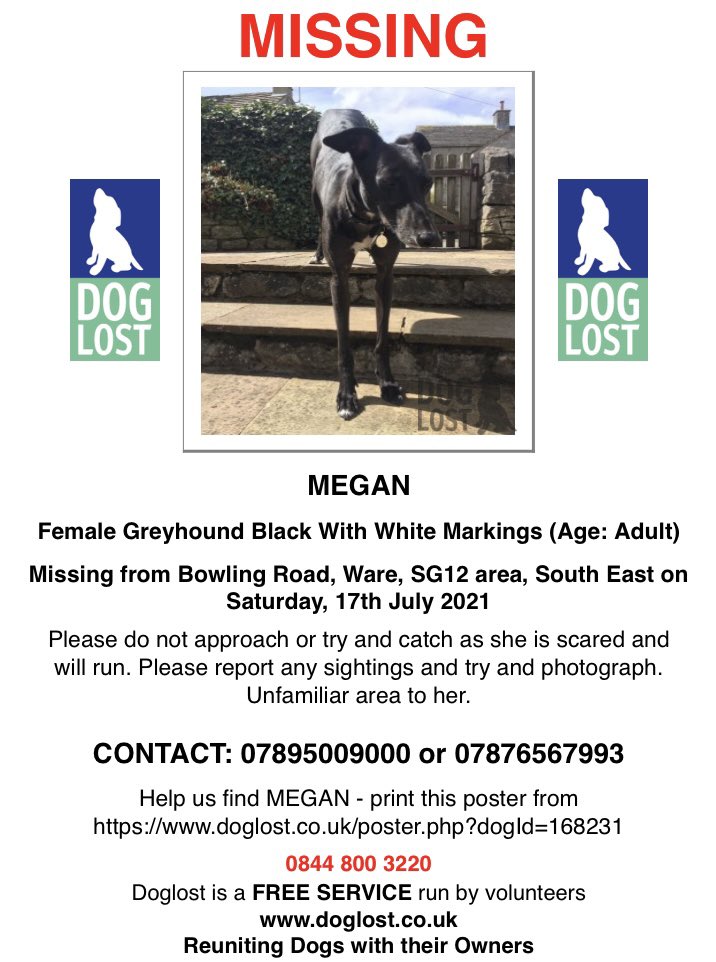 David Foster tweet media