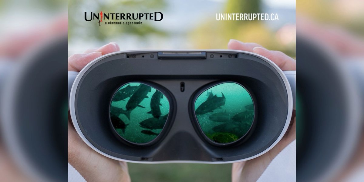 Listen to @CBCStephenQuinn's reaction to <a href="/UninterruptedCA/">UninterruptedCA</a> VR (spoiler alert: he loved it!) + his chat with Director Nettie Wild on <a href="/CBCEarlyEdition/">CBCEarlyEdition</a> 🐟  buff.ly/3ilW36W