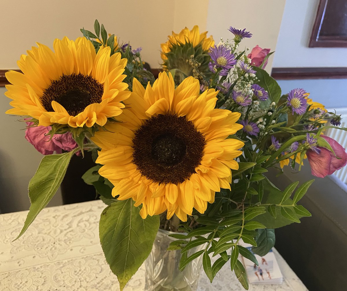 Shaista Aziz 💙 tweet media