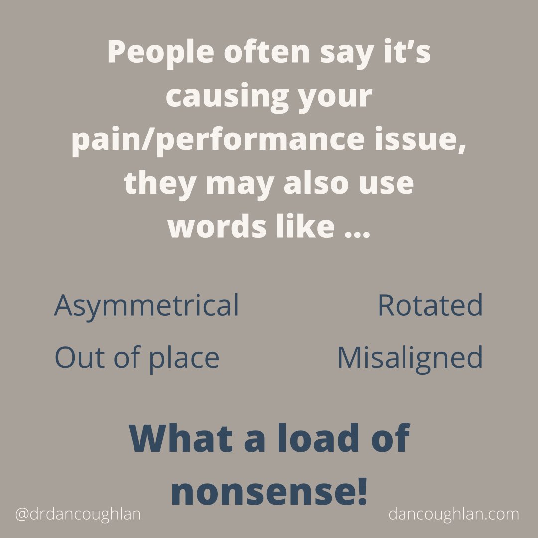 Dr Daniel Coughlan tweet media