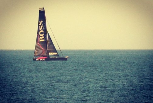 Goodwin Sands Conservation Trust tweet media