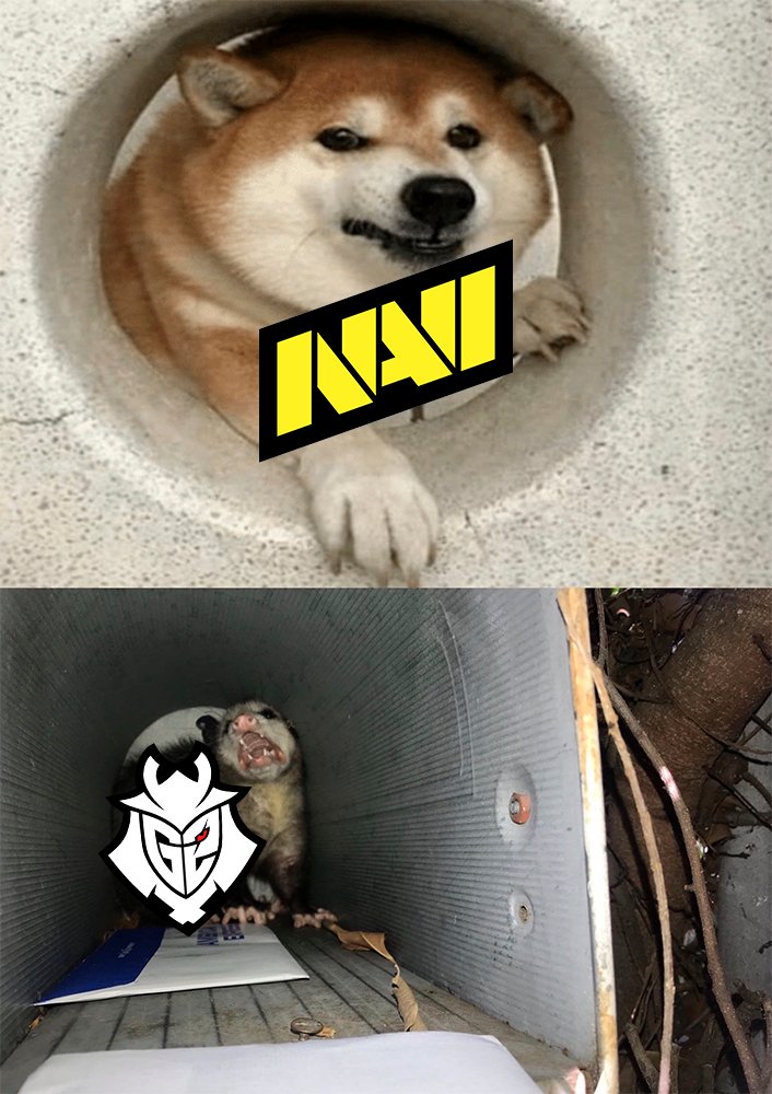 natusvincere tweet picture