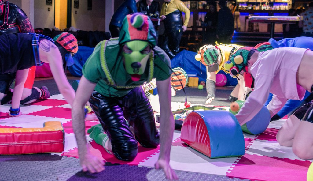 PAWS are opening its doors Next Saturday 24th at noon for 10 hours of puppy fun,  meeting old and new friends. Lots of puppy and littles games and activities till 5 pm in the main room and then Pup Social upstairs with drinks, switch, quiz and games plus more to be confirmed.