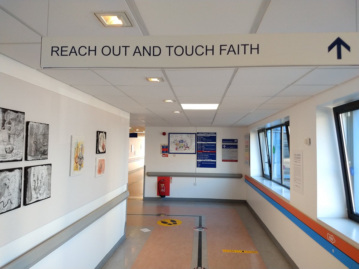 ClaireJStevens's tweet photo. Things are looking up: today we stumbled across the Anne Ferguson Gallery within the Western General, what a gem! Fairly lifted our spirits & made our day @NHS_Lothian @ELHFfunds ❤️ https://t.co/U7dPdQbzXe