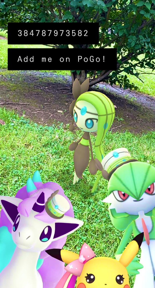 Dracoprincess's tweet photo. 384787973582 for Pokémon Go 💙 https://t.co/f8tCf8kAYo