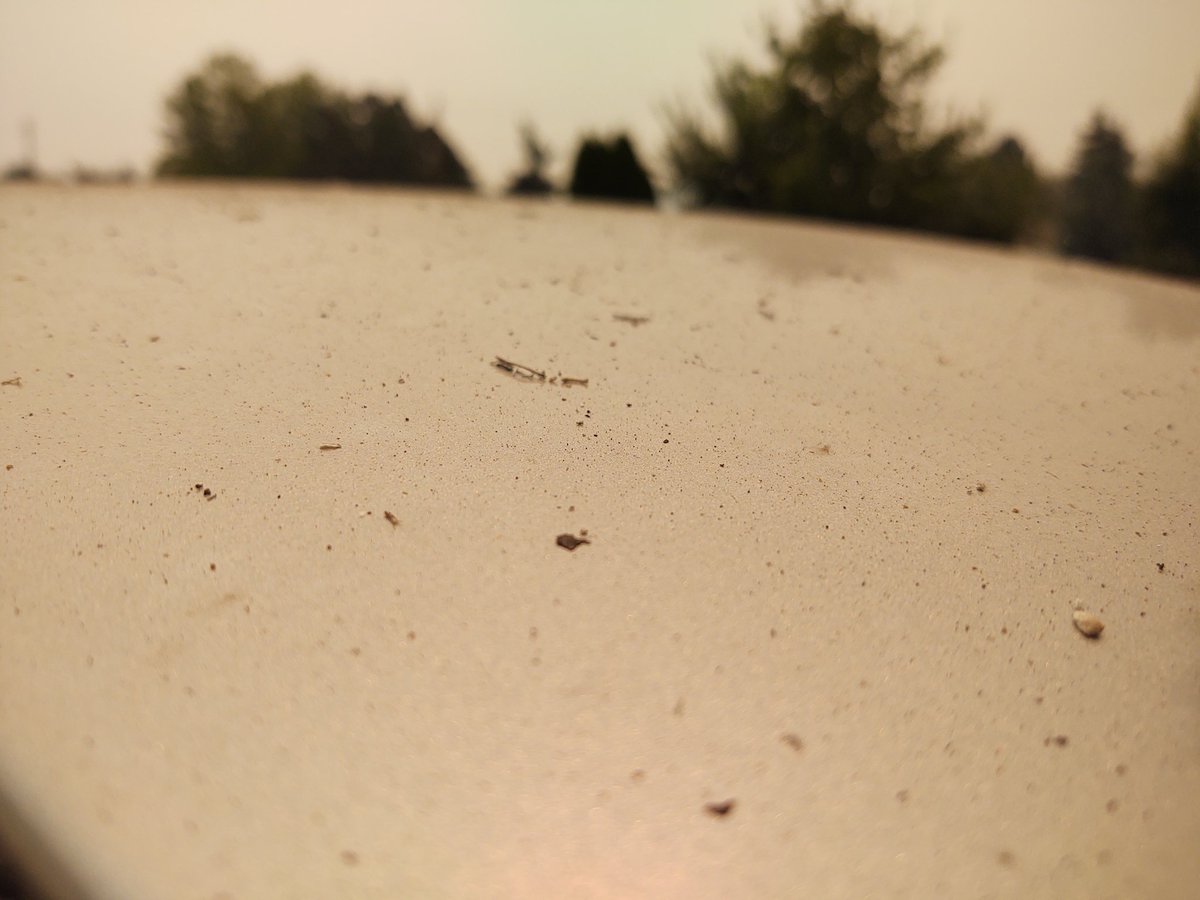 endurancerider's tweet photo. Raining ash here in Gardnerville. #TamarackFire #Markleeville #rainingash https://t.co/YjbMyfRSb0