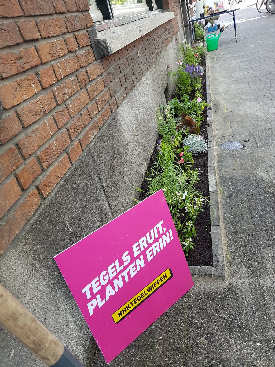 KarinPadmos's tweet image. #GeveltuinWinaktie

@tegelwippen en wij doen mee!!
Voor bewoners uit #noord010
#GroenNoord verloot een 10 tal #geveltuintjes. #aanmelden
Mail to: groennoord@gmail.com
Vermeld uw naam: adres: postcode en telefoon nummer.

Met dank aan  @hhsenk en #WijkraadBlijdorp @michielminded