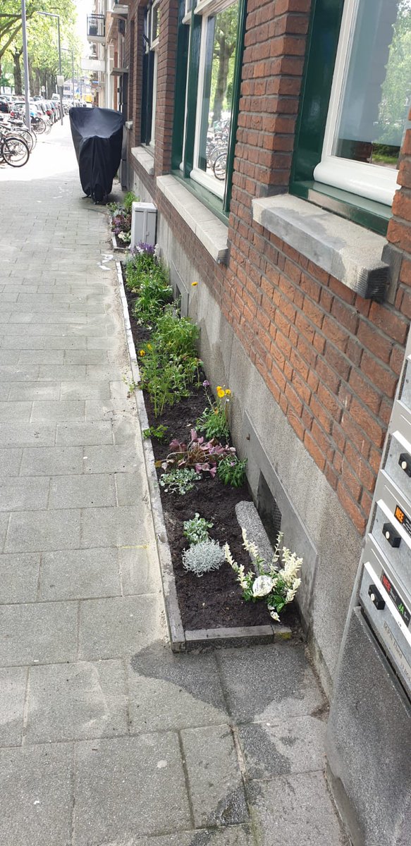 KarinPadmos's tweet image. #GeveltuinWinaktie

@tegelwippen en wij doen mee!!
Voor bewoners uit #noord010
#GroenNoord verloot een 10 tal #geveltuintjes. #aanmelden
Mail to: groennoord@gmail.com
Vermeld uw naam: adres: postcode en telefoon nummer.

Met dank aan  @hhsenk en #WijkraadBlijdorp @michielminded