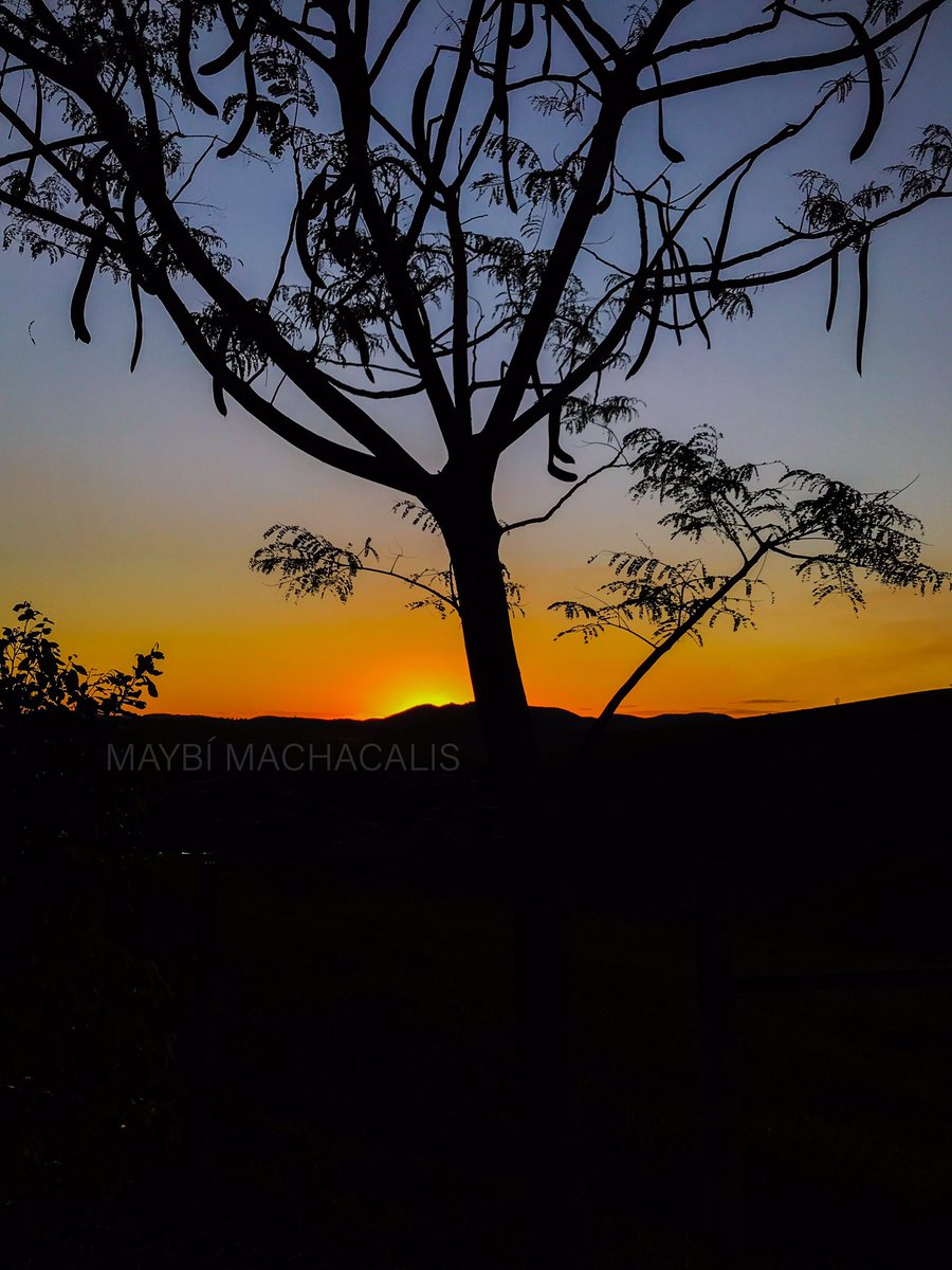 maybimxk's tweet photo. Eu sei que o sol se põe para raiar.
#pordosol #sunset #natureza #aves #astronomia #star #fimdetarde #photoiphone7plus #iphone7p #sun #astrophotography #astrophotographer https://t.co/yHpFigQKl8