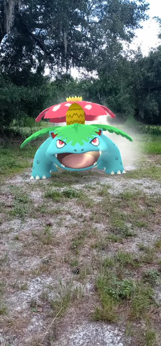 Davidbramsey’s pics and videos