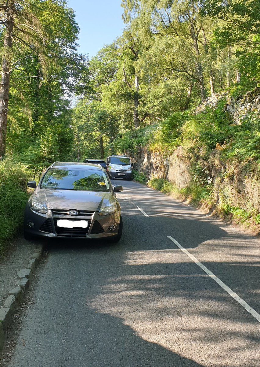 Selfish parking has caused large tail backs, canceled buses and blocked ambulances at Borrowdale Valley today. Everyone of these vehicles will receive a ticket from Allerdale proactive team. 
Heartbreaking to see babies crying in hot cars stuck in traffic due to selfish parking.