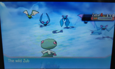 NightyGen's tweet photo. As for today I hunted some more during GO Fest today and got myself 2 Shiny Zubat in AS.

#shiny #shinypokemon #oras https://t.co/2Bypt9bfOe