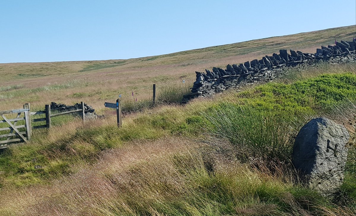 Just an aimless 'romp' around today. Just because I can! x #haworth #moor